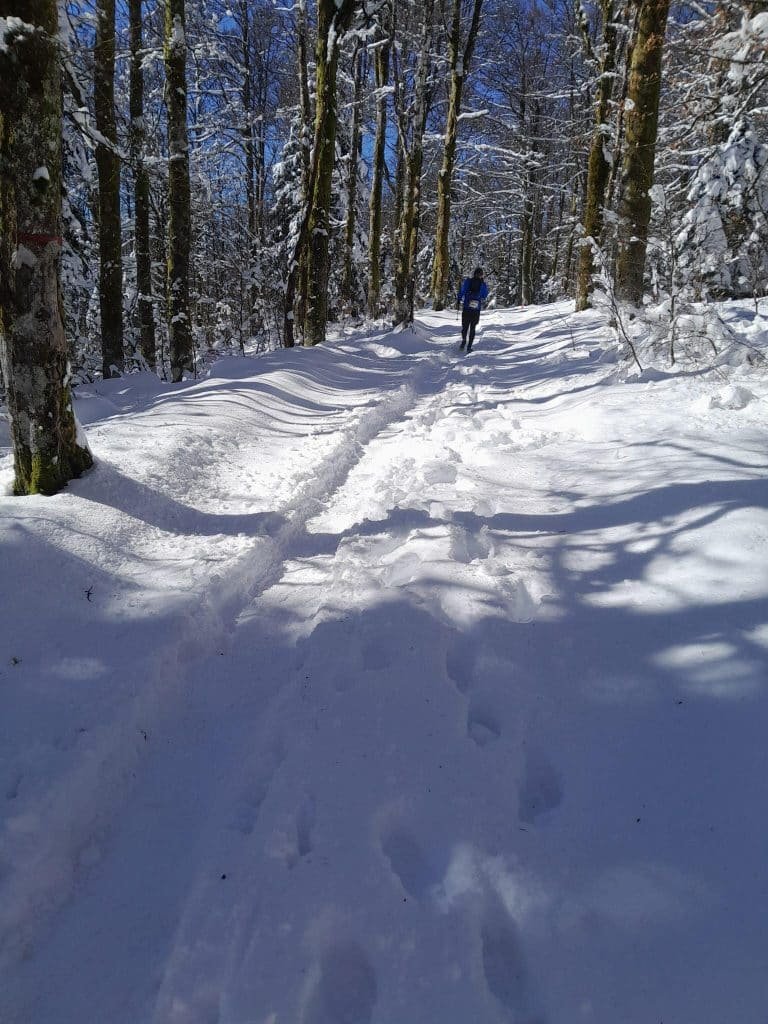 Mais où est passée la section Trail ? 4 THV2