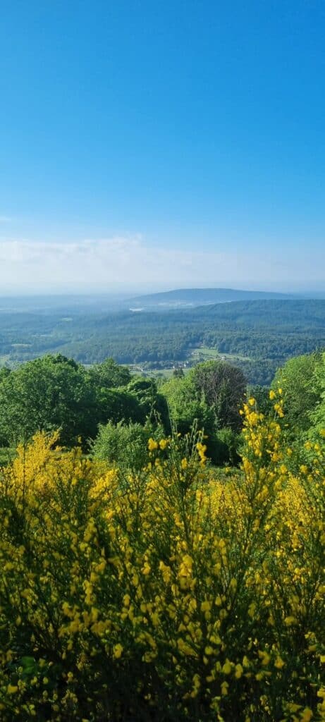 La Section Trail au charbon ! 5 5 1