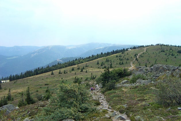 Les Crêtes Vosgiennes 2025 : la doyenne 3 I B02 14 1 1