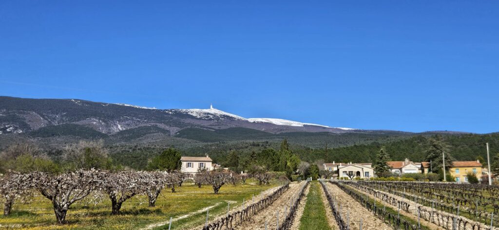 Du Ventoux à Fougerolles : la Team GAHS trail en ordre de bataille 1 WhatsApp Image 2026 03 27 at 17.12.35 1 1